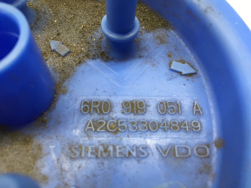 IMG_3337.JPG