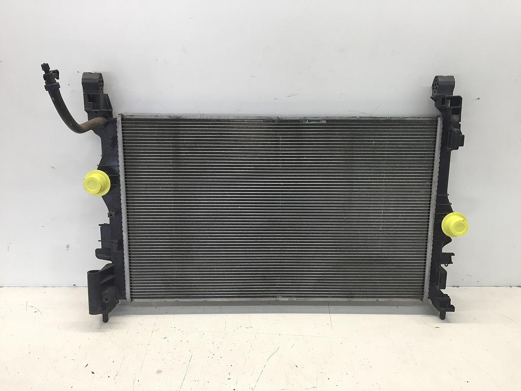 IMG_3102.JPG