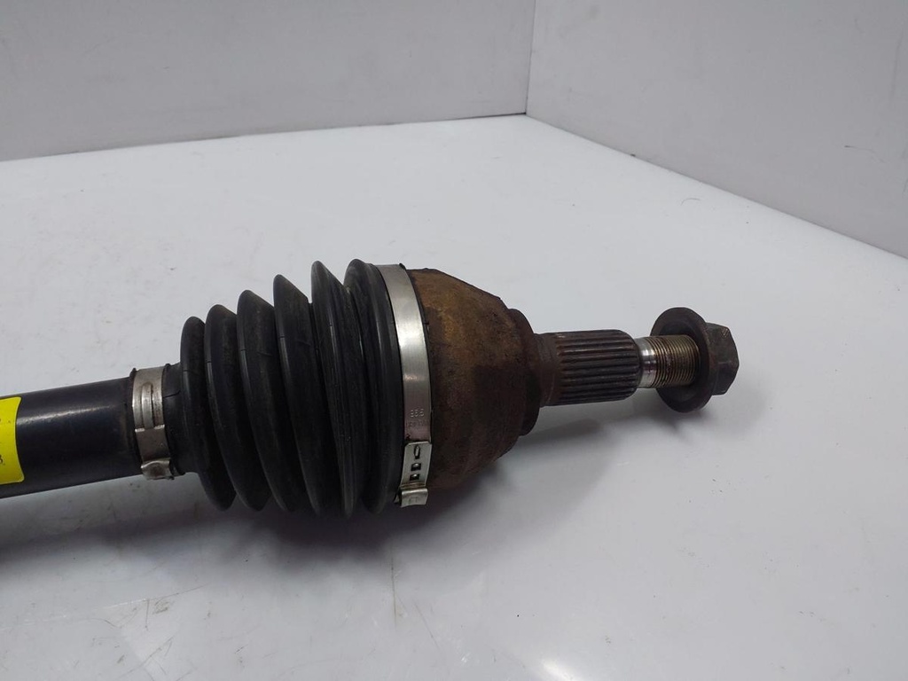 20240404_144414.jpg