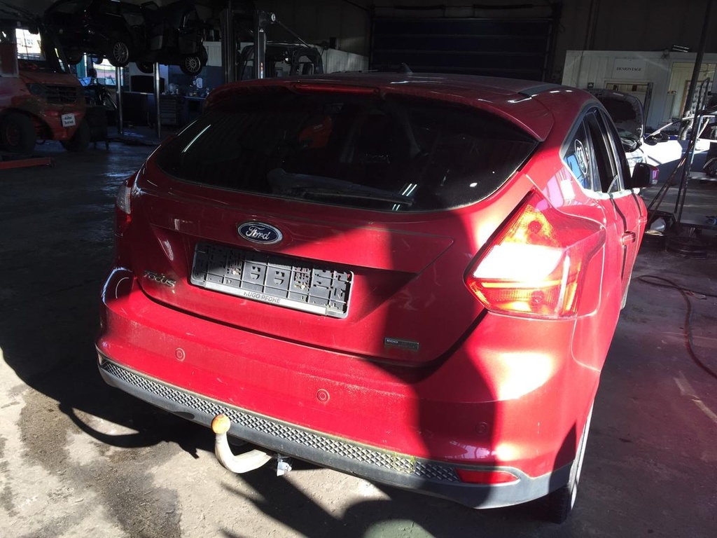 IMG_9955.JPG