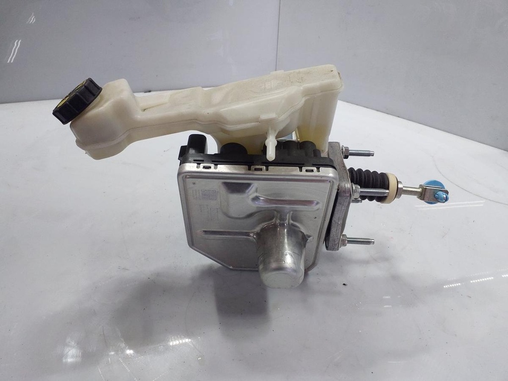 20250428_114055.jpg