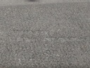 20260113_115353.jpg