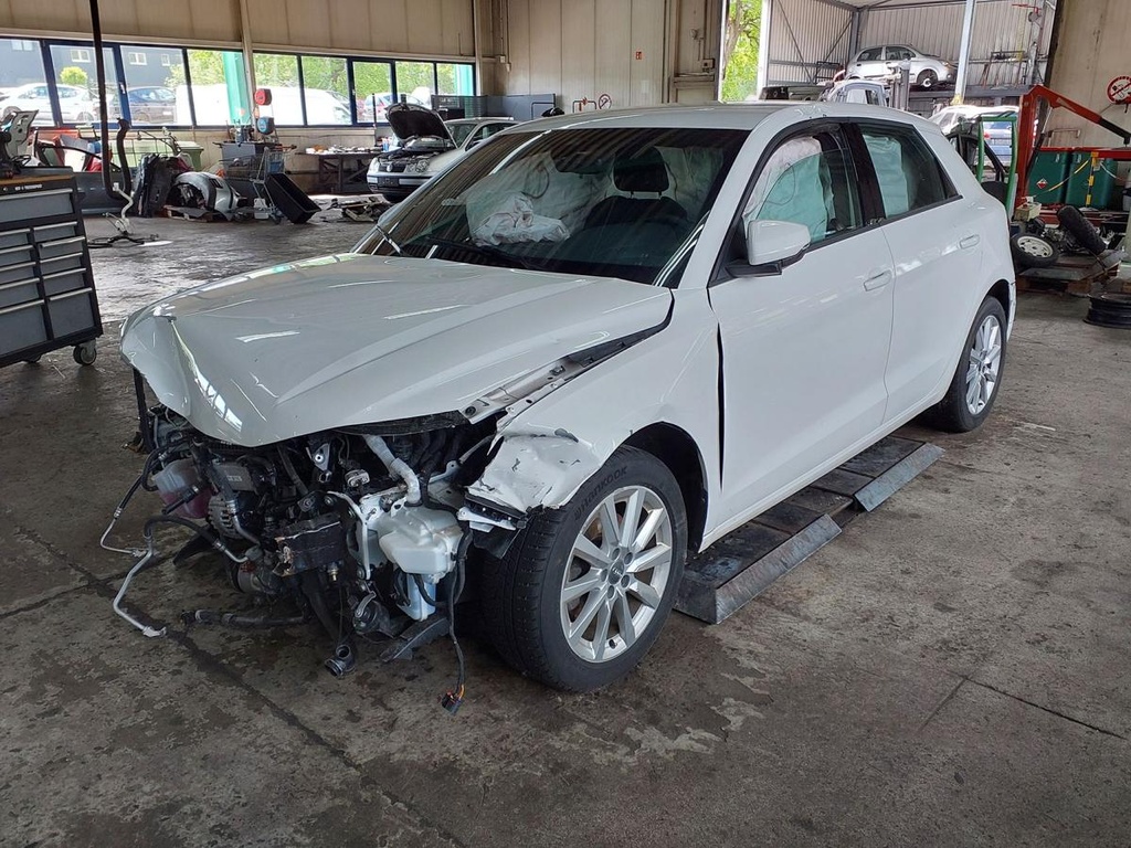 20260519_134933.jpg